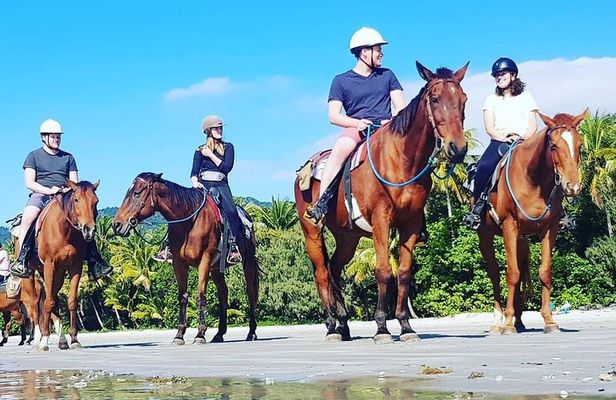 Mid-Morning Beach Horse Ride in Cape Tribulation