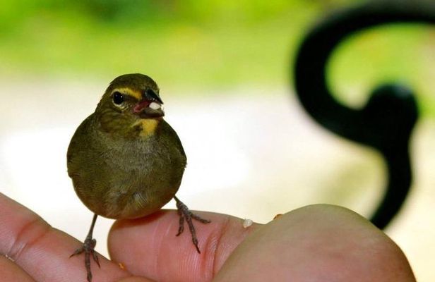 Bird Sanctuary (Montego Bay) Jamaica