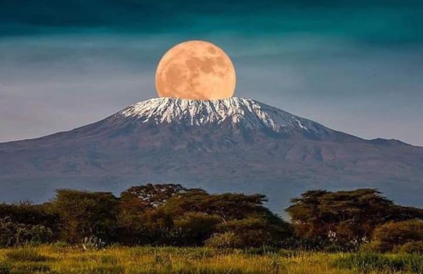 1 Day safari to Amboseli National park.