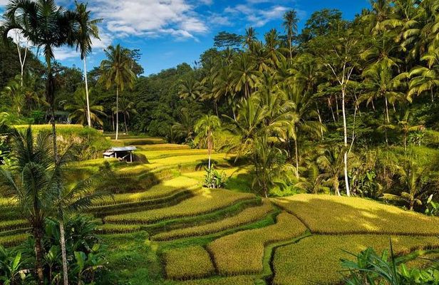 Exploring Bali in 3 Days: Discover Top Places in Bali