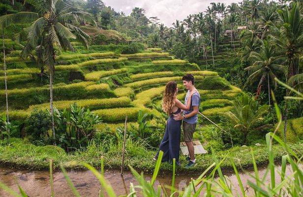 Ubud City Tour II: Monkey Forest, Palace, Art Market, and Rice Terrace