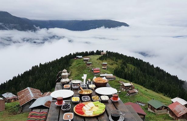 Organic Pokut Tour