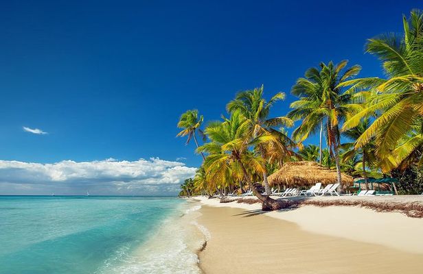 Saona Island Day Tour