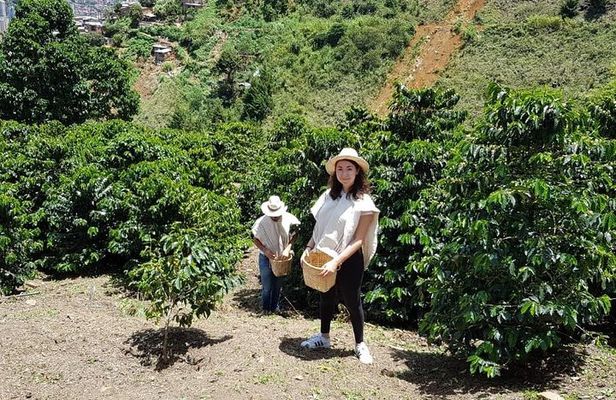Coffee Experience