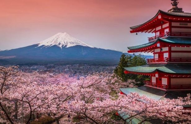 Fuji and Lake Kawaguchi Tour