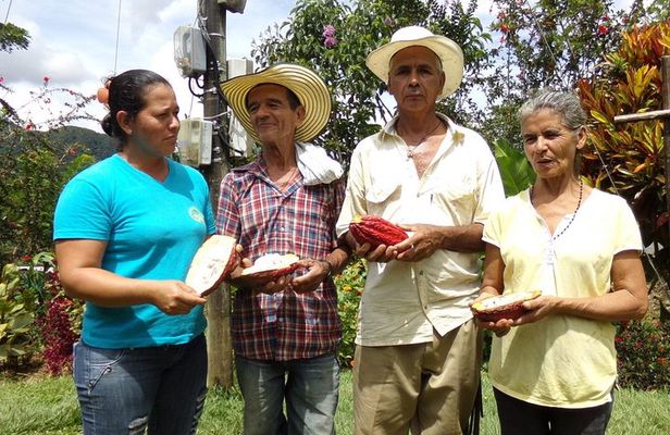 Private tour: Peacebuilding in Antioquia - From Coca Fields to Cocoa!