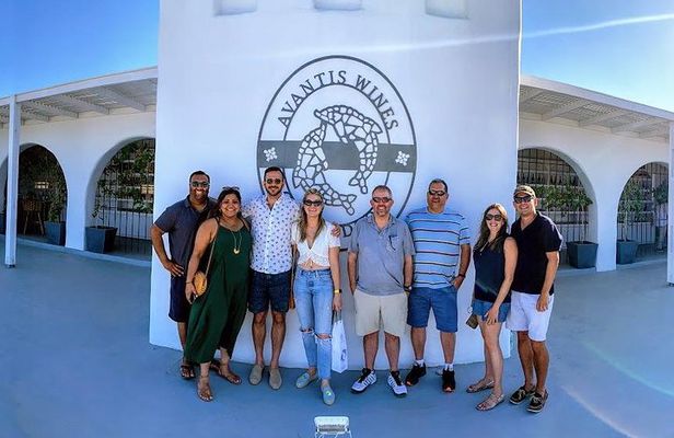 Santorini Half Day Wine Tasting & Winery Tour with Pickup