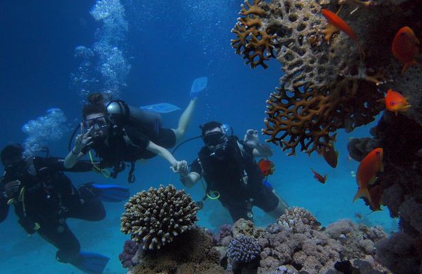 3 Day Mombasa Tour - City Tour, Watamu & Diani
