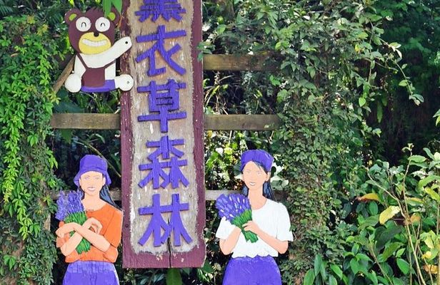 Full-Day Taichung and Lavender Cottage Private Tour with Lunch