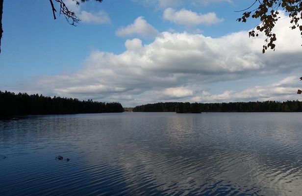 Hiking around forest and lake