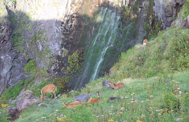 Furepe Waterfall Nature Walk