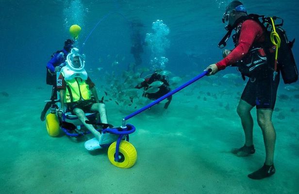 Sea Trek and Diving for handicaped people