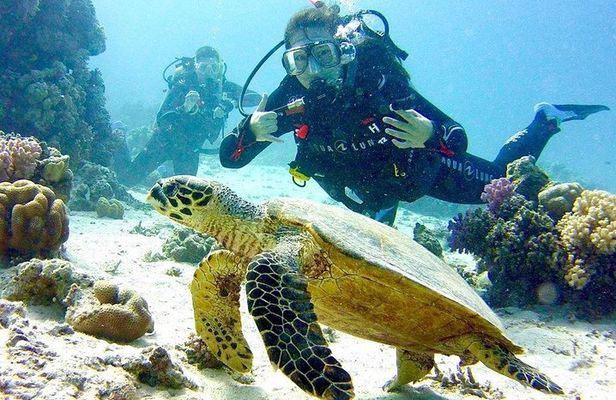 Underwater Discovery for Beginners – Full Day Diving with Lunch