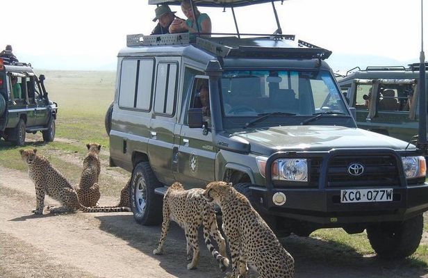 Lake Nakuru, Naivasha & Masai Mara 4 Days Private Jeep Safari