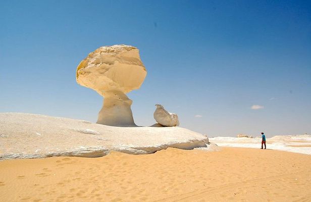Bahariya Oasis Camp 2 Days 1 Night To From Cairo and Giza 4X4