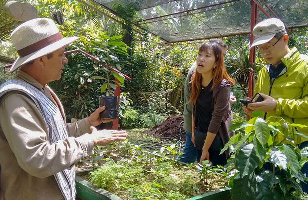 Coffee Plantation Tour From Bogota