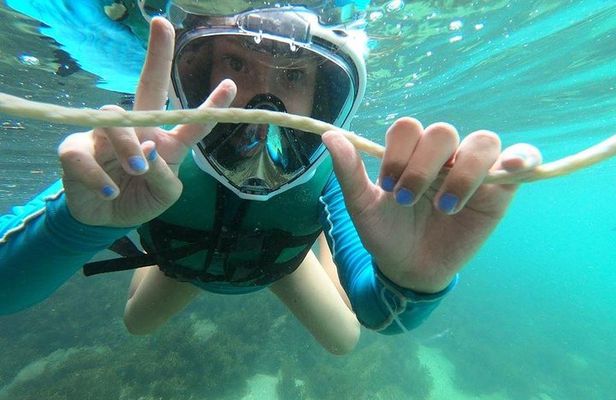 Aqua Aventura - diving for families