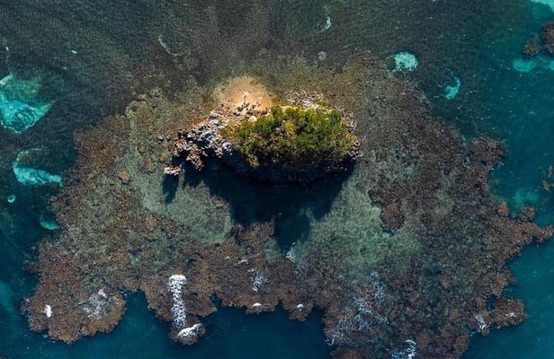 Los Haitises National Park private Kayaking 4 hours trip Mangroves and Cave