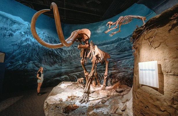 Discover Drumheller, Horseshoe Canyon, Royal Tyrrell Museum