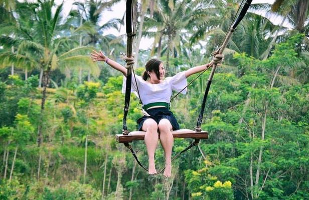 Ubud Experience | Full Day Private Tour in Ubud | FREE WIFI