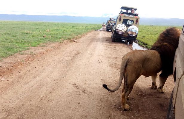 5 Day Camping Safari to Lake Manyara, Serengeti and Ngorongoro Crater
