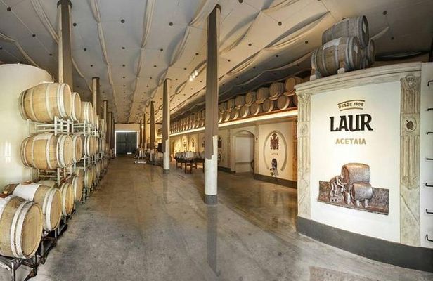 Private Transfer + Maipu Vinicolas