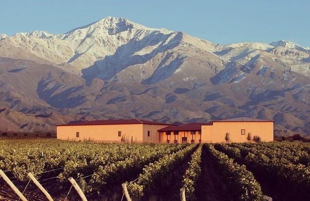 Vineyards with Wine Tasting in Mendoza