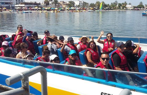 Paracas Full Day Tour
