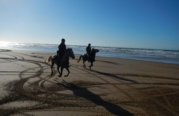 3 Hours Horse Riding with Dinner and Overnight Berber Camp