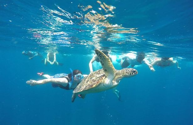 Snorkeling Tour In Gili Trawangan, Gili Meno And Gili Air Pick Up From Bali