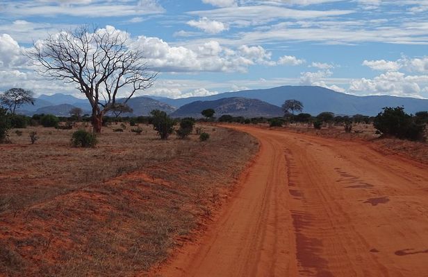 5 Days Safari Tsavo East Voyager Ziwani Amboseli Tsavo West Kilanguni Serena Ldg
