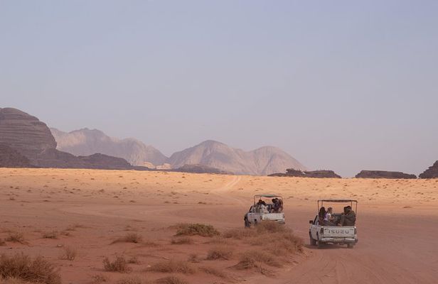Wadi Rum: 4 Hour Highlights Tour