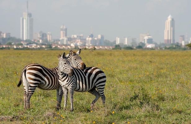 Nairobi national park ,Giraffe center and Beads factory