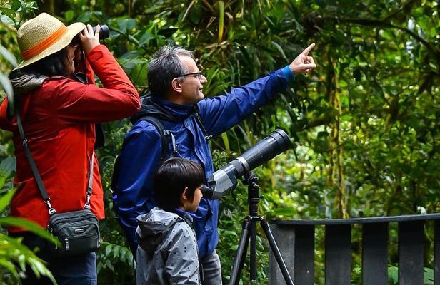 Monteverde Wildlife Walk & Hummingbird Encounter
