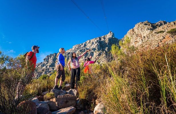 Private Hiking Tour of Table Mountain