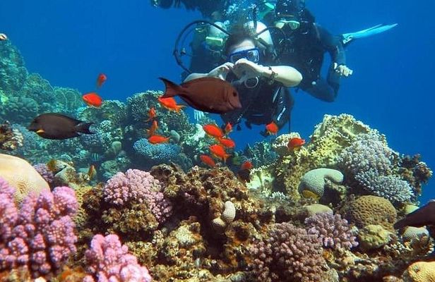 Beach Introduction Dive