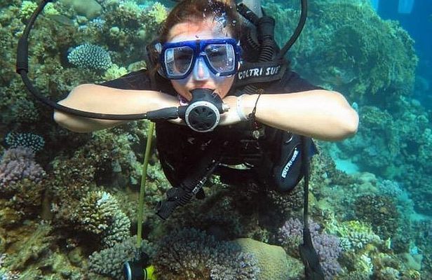 2 Dives in Tiran Island by boat
