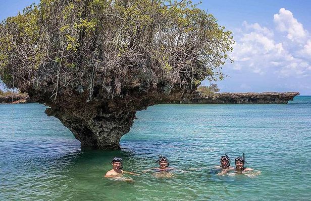 Full-day Safari Blue Trip in Zanzibar with Lunch buffet