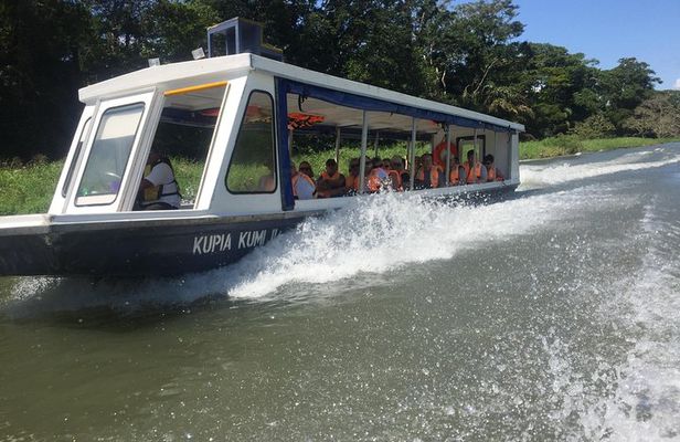 Tamarindo wildlife Estuary boat ride tour 2 hours