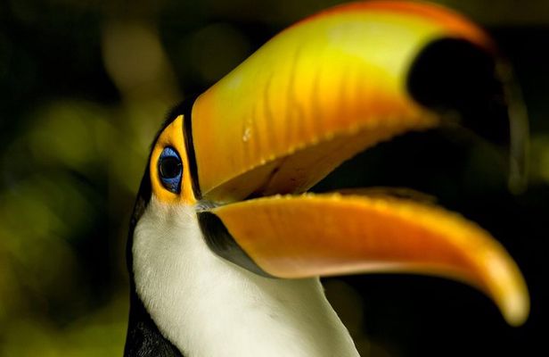 Brazil Family Adventure - Private Multi Day Tour