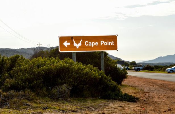 Private Cape of Good Hope Sightseeing and African Penguin Tour