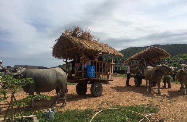 Full-Day Kampot & Kep with a local Tuk Tuk Tours