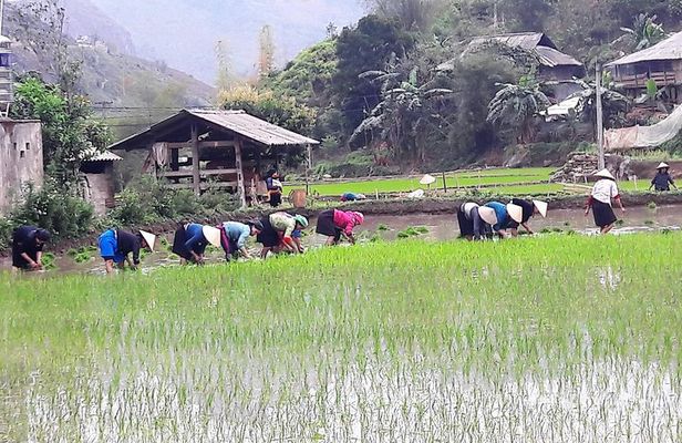 Ha Giang 4 Days 3 Nights Motorbike Tour: Culture & Scenic Loop