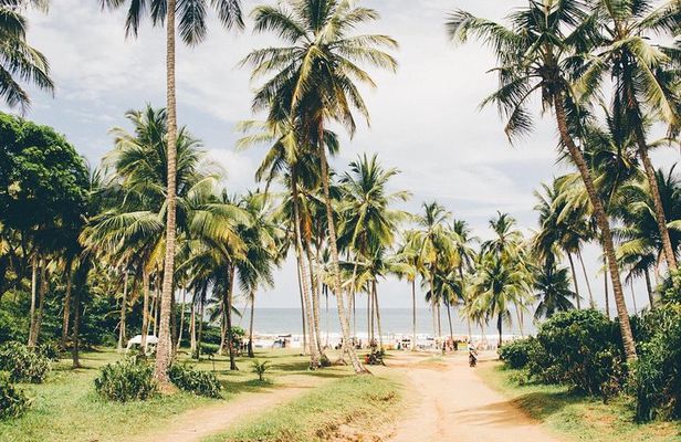 Brazil Surfing & Chocolate Private Multi Day Tour