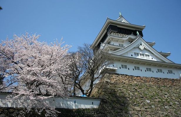 Kitakyushu Full-Day Private Trip with Government-Licensed Guide