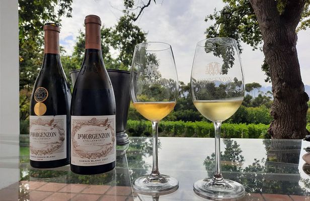 Full-Day Private Guided Wine Tasting Tour of Cape Wineries