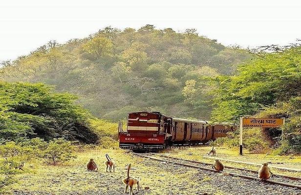 8 Nights/9 Days Majestic Rajasthan Tour Package