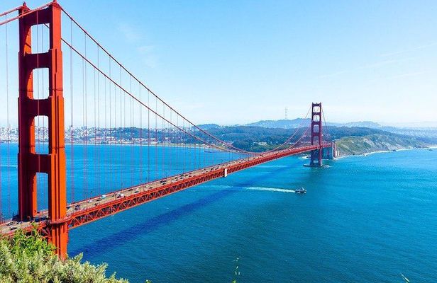 San Francisco private half day tour with driver and guide