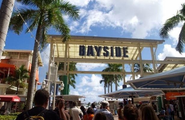 Miami Combo Tour (Everglades Tour + Boat Tour)