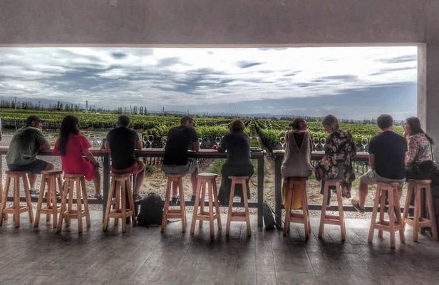 All Day, Small Group, Luxury Wine Tour with Gourmet Lunch